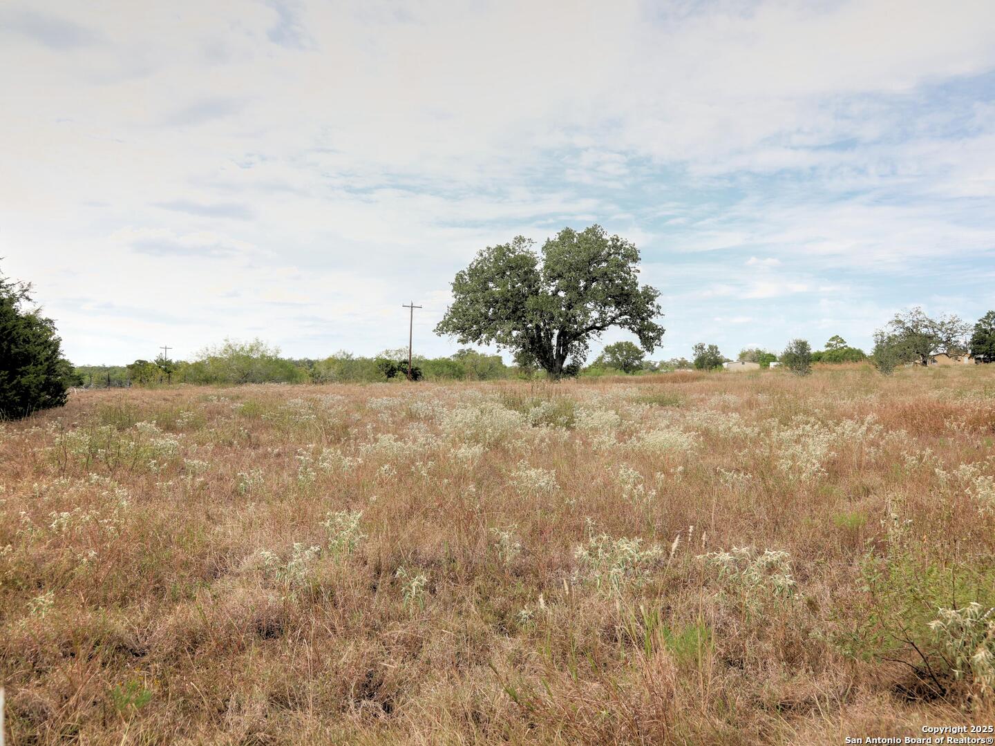 81 Sandy Creek Road Dale, TX 78616 - Photo 20 of 22