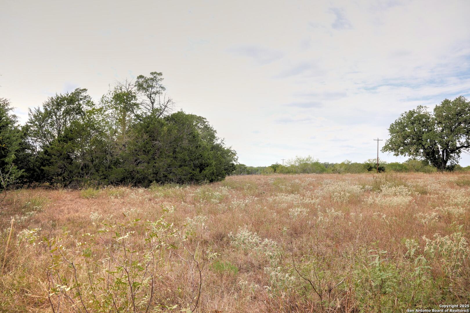 81 Sandy Creek Road Dale, TX 78616 - Photo 22 of 22 a view of lake view and mountain view