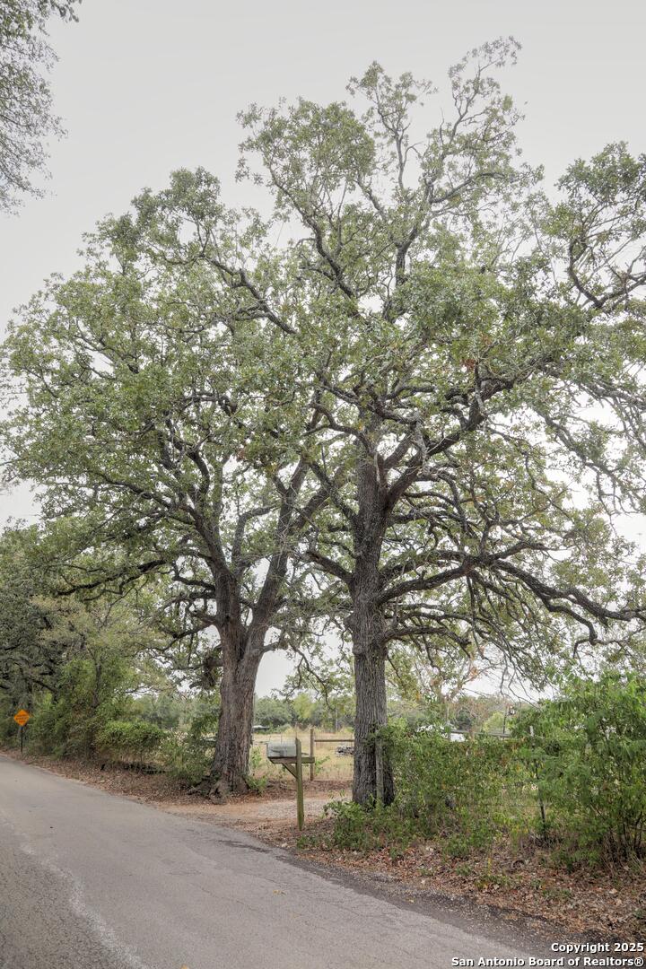 81 Sandy Creek Road Dale, TX 78616 - Photo 3 of 22