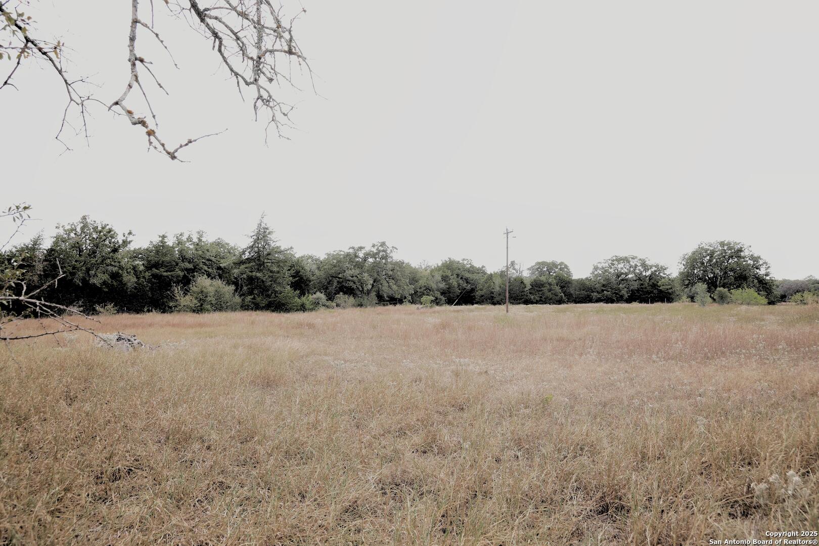 81 Sandy Creek Road Dale, TX 78616 - Photo 6 of 22 a view of a field