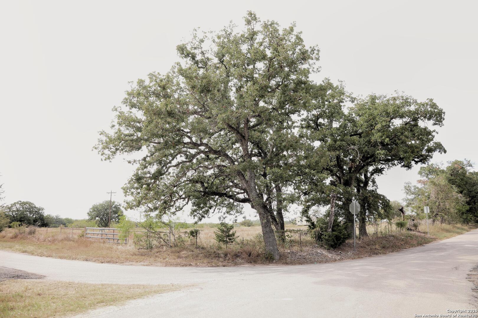 81 Sandy Creek Road Dale, TX 78616 - Photo 8 of 22 an outdoor view of house with green space