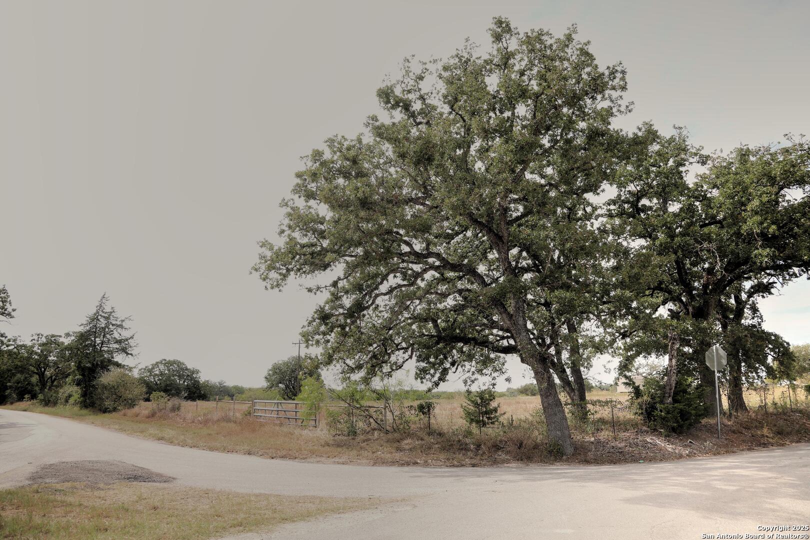 81 Sandy Creek Road Dale, TX 78616 - Photo 9 of 22