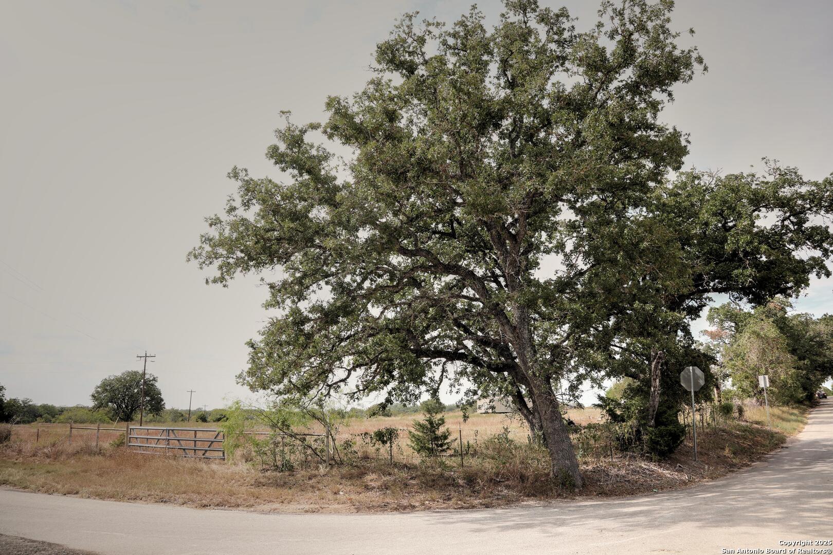 81 Sandy Creek Road Dale, TX 78616 - Photo 10 of 22
