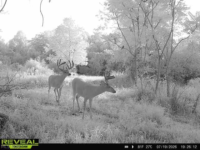 560 Wickens Road Macksburg, OH 45746 - Photo 9 of 43 Gallery Image 9