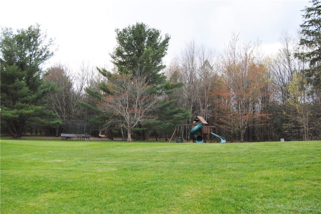 6786 Cayward Hill Road Prattsburgh, NY 14873 - Photo 39 of 42 back yard
