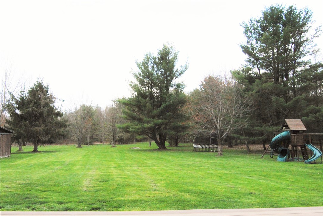 6786 Cayward Hill Road Prattsburgh, NY 14873 - Photo 40 of 42 back yard