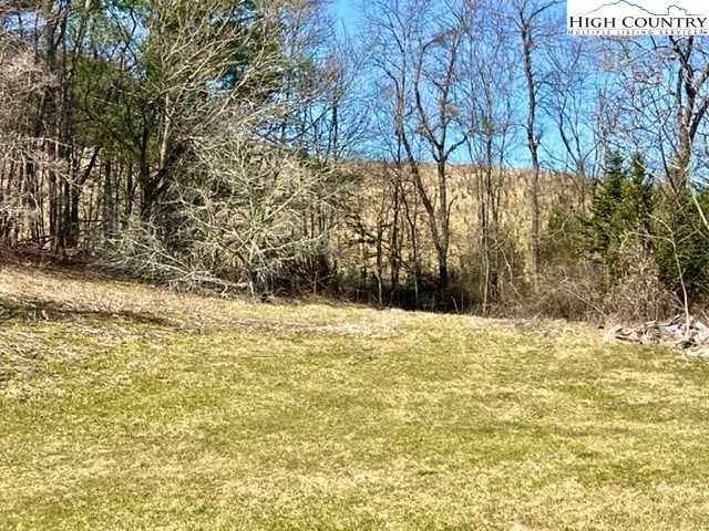 503 Woodrow Bare Road Laurel Springs, NC 28644 - Photo 21 of 33 Gallery Image 21