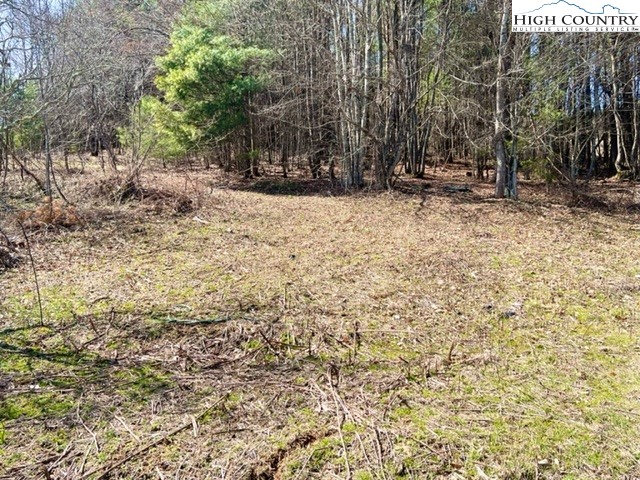 503 Woodrow Bare Road Laurel Springs, NC 28644 - Photo 22 of 33 Gallery Image 22