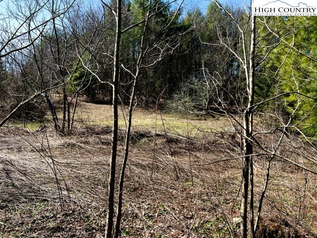 503 Woodrow Bare Road Laurel Springs, NC 28644 - Photo 23 of 33 Gallery Image 23
