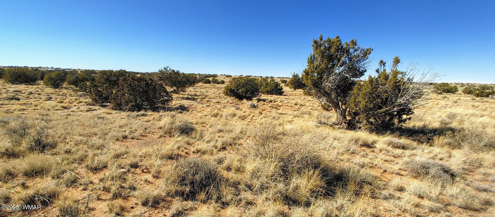 Tbd Owl Road Snowflake, AZ 85937 - Photo 7 of 7 0131251335b