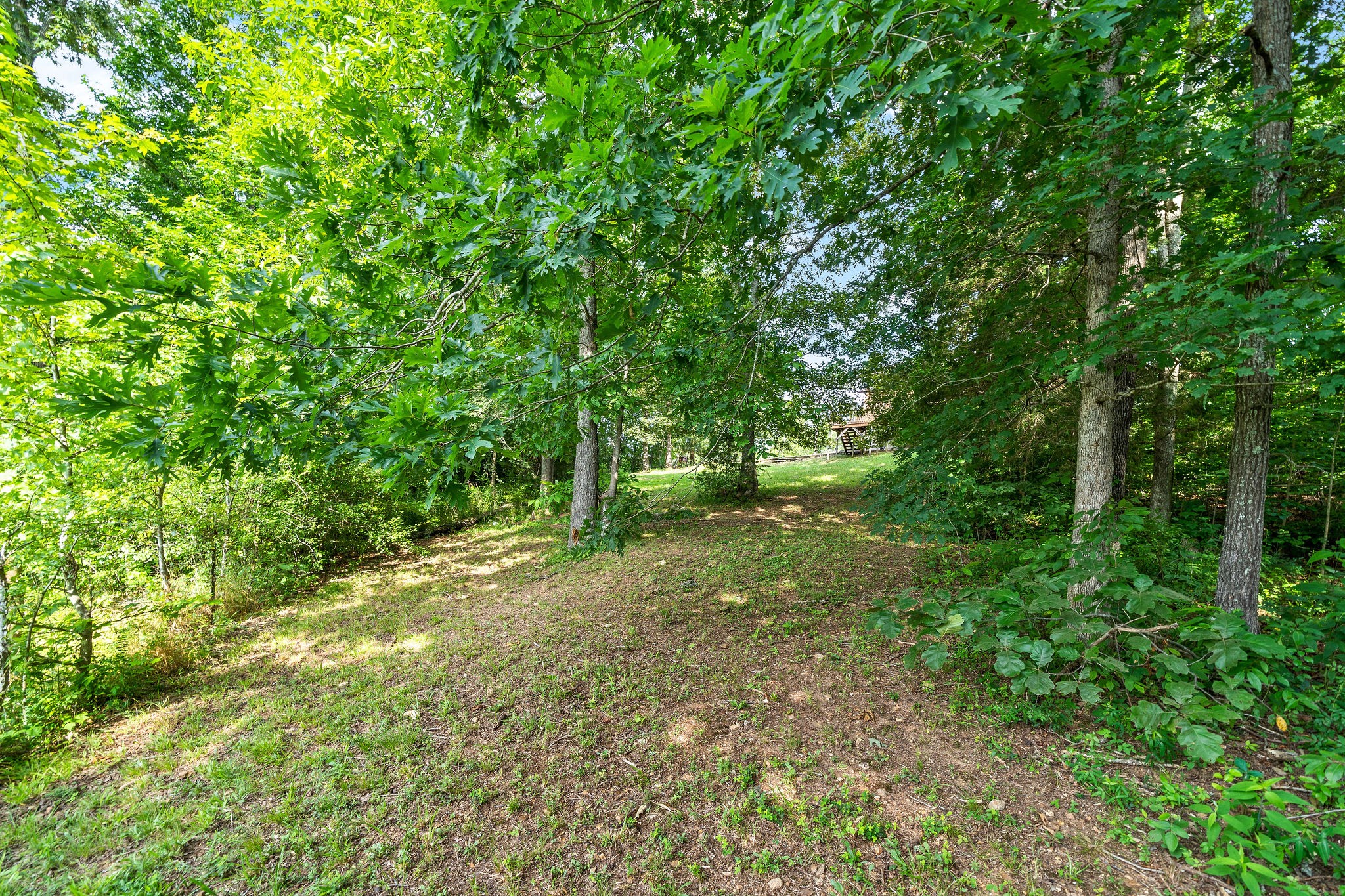 339 Sandy Kaye Road Big Rock, TN 37023 - Photo 31 of 34 Gallery Image 31