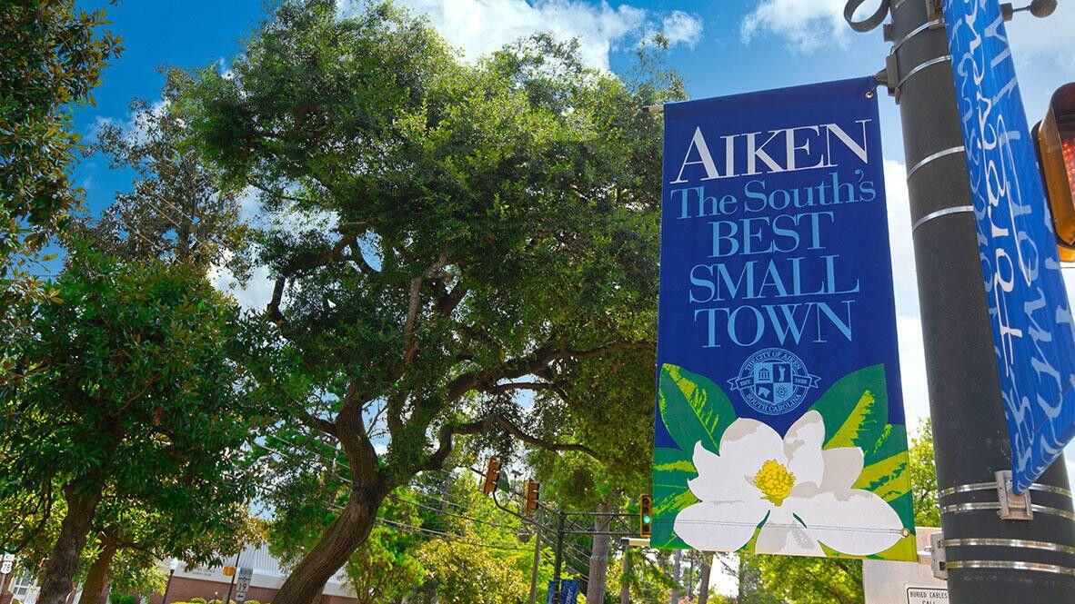 7041 Sideboard Crossing Aiken, SC 29803 - Photo 9 of 41 Aiken Downtown
