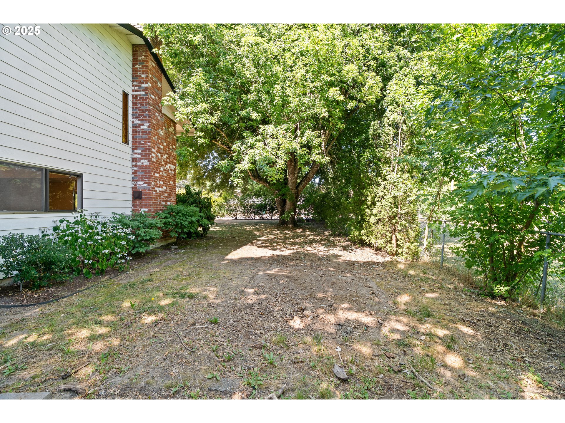 1246 Southeast Barnes Road Gresham, OR 97080 - Photo 40 of 43 a view of a yard with plants and large trees