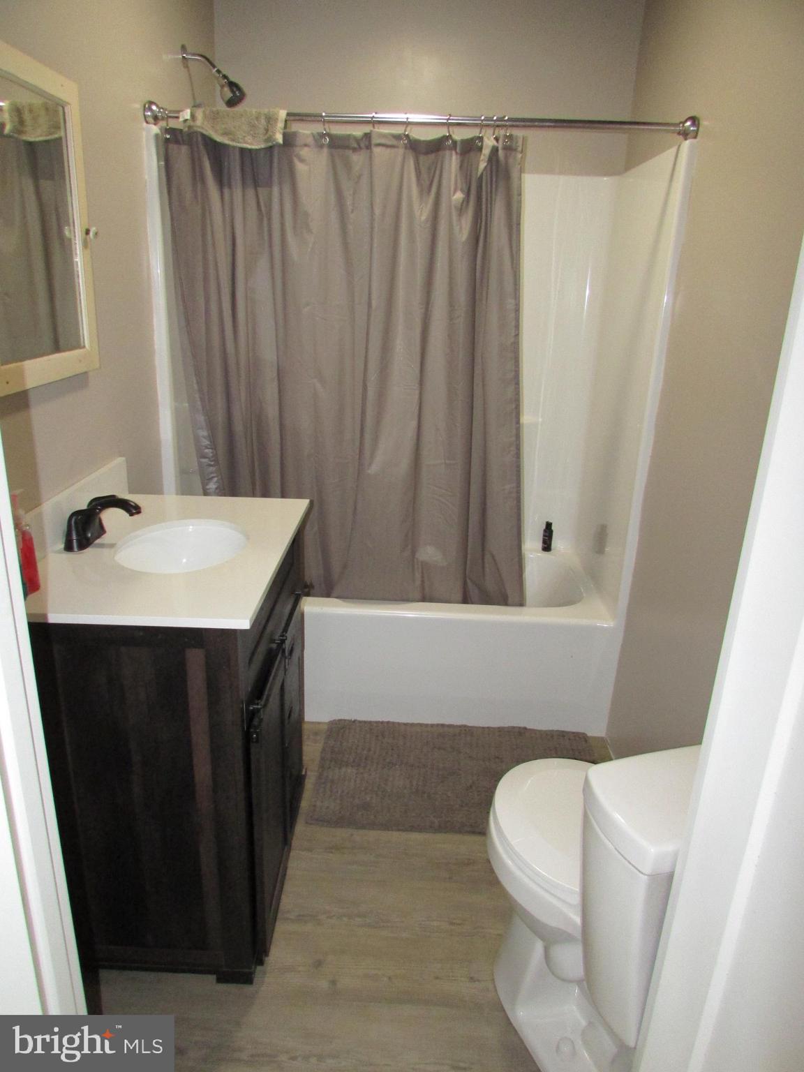 293 Snow Shoe Mountain Forest Road Snow Shoe, PA 16874 - Photo 22 of 38 a bathroom with a sink a toilet a mirror and shower curtain