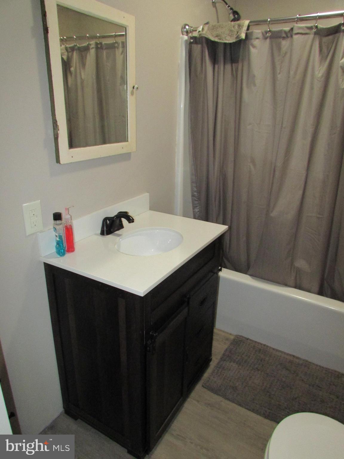 293 Snow Shoe Mountain Forest Road Snow Shoe, PA 16874 - Photo 23 of 38 a bathroom with a sink vanity and a mirror