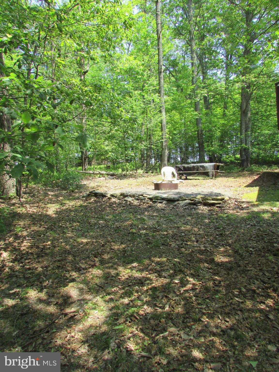 293 Snow Shoe Mountain Forest Road Snow Shoe, PA 16874 - Photo 31 of 38 a view of ocean view with large trees