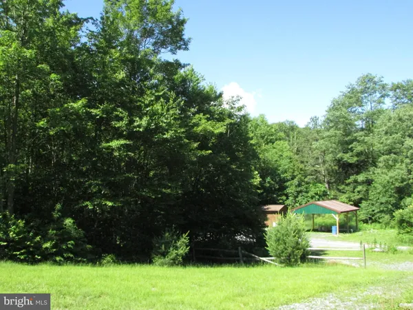 a view of a tree