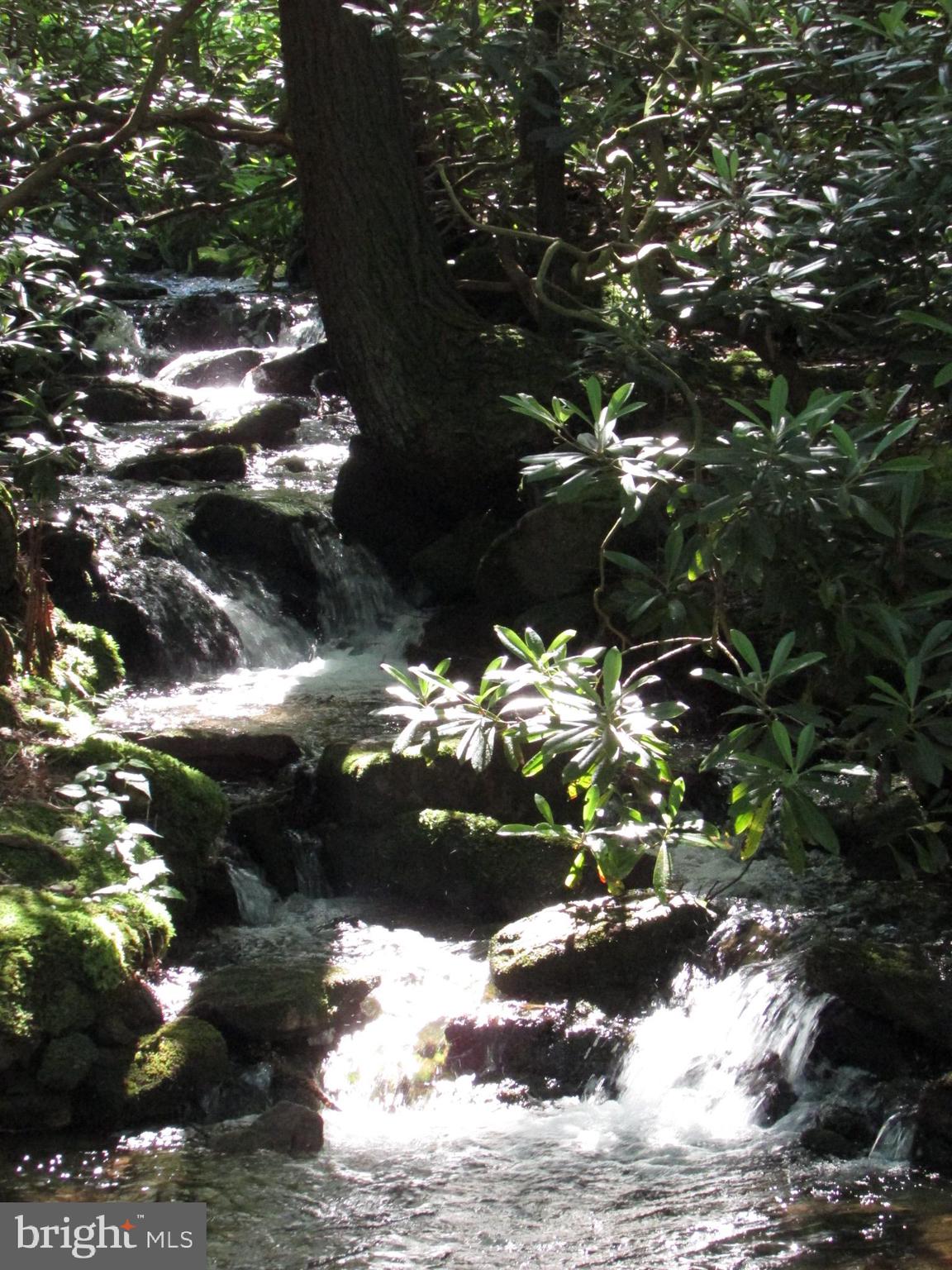 293 Snow Shoe Mountain Forest Road Snow Shoe, PA 16874 - Photo 35 of 38 a view of a tree