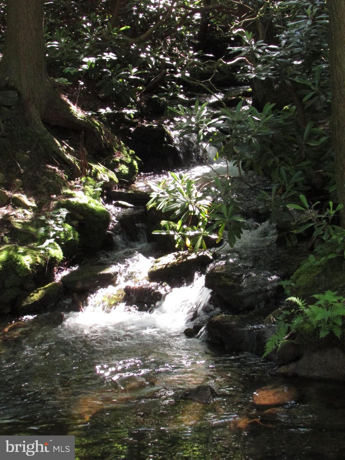 293 Snow Shoe Mountain Forest Road Snow Shoe, PA 16874 - Photo 36 of 38 a view of a lake from a yard