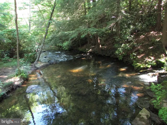 $127,000 | 293 Snow Shoe Mountain Forest Road, Snow Shoe, PA 16874