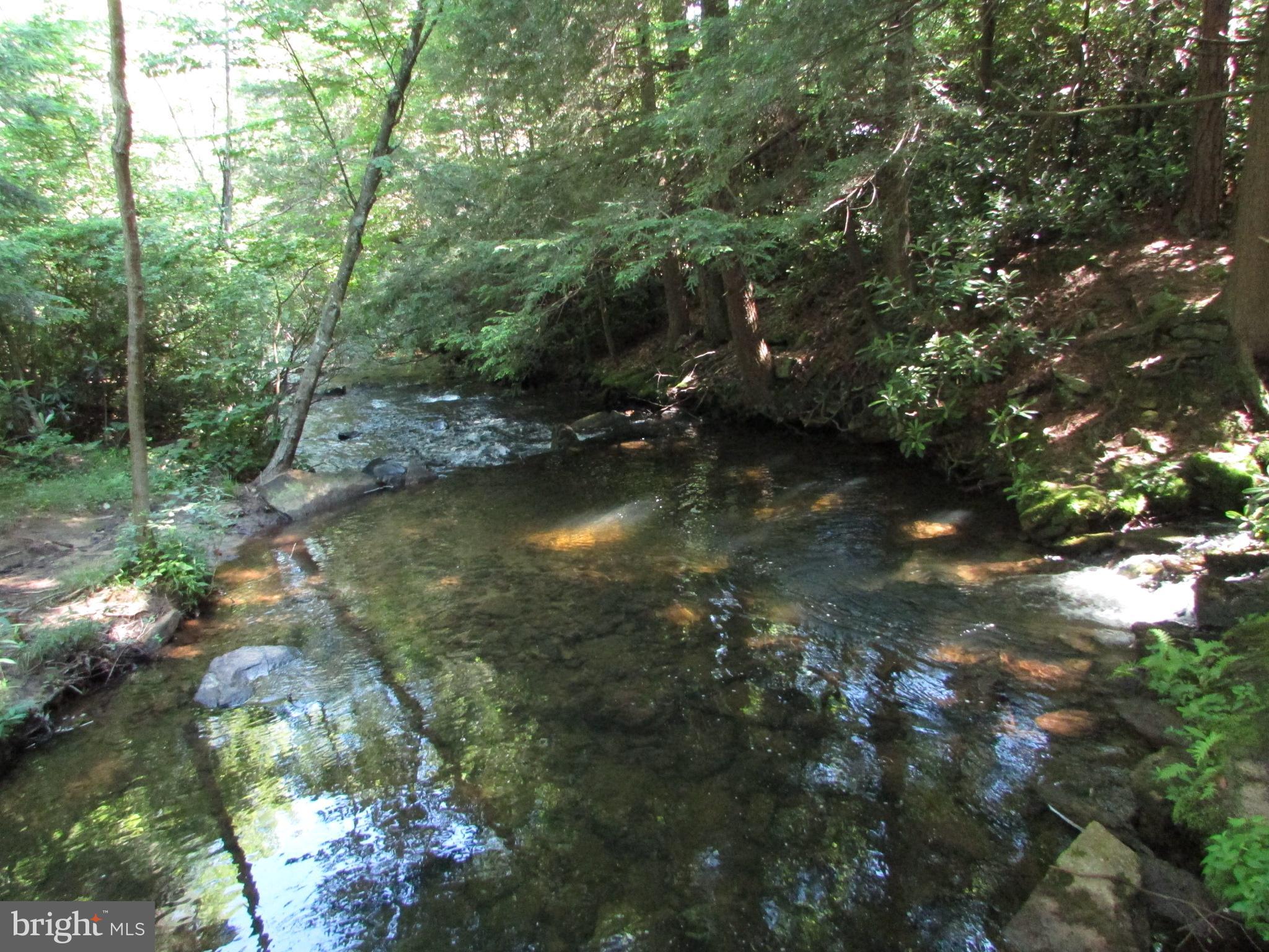 293 Snow Shoe Mountain Forest Road Snow Shoe, PA 16874 - Photo 37 of 38 a view of a lake with a tree
