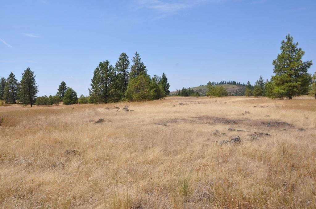 0 South Stentz Road Spangle, WA 99031 - Photo 14 of 16 Gallery Image 14