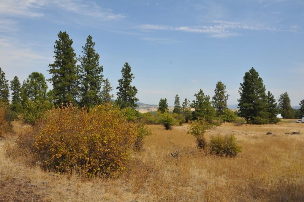 0 South Stentz Road Spangle, WA 99031 - Photo 3 of 16 Gallery Image 3