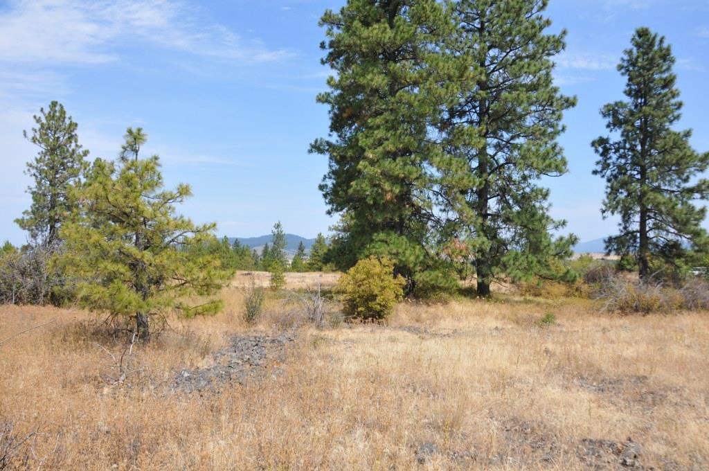 0 South Stentz Road Spangle, WA 99031 - Photo 4 of 16 Gallery Image 4