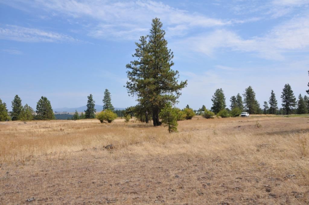 0 South Stentz Road Spangle, WA 99031 - Photo 8 of 16 Gallery Image 8