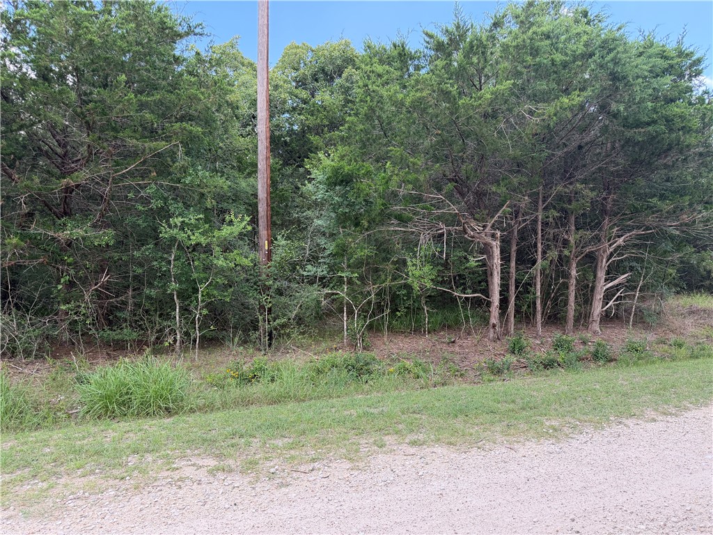 304 Overlook Loop Somerville, TX 77879 - Photo 4 of 17