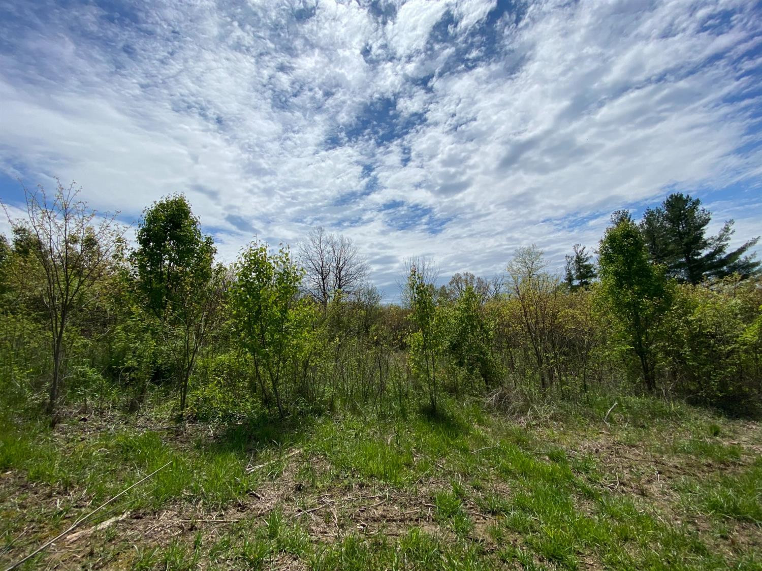 48 Hamilton Springs Road Lancaster, KY 40444 - Photo 5 of 7 Photo 5