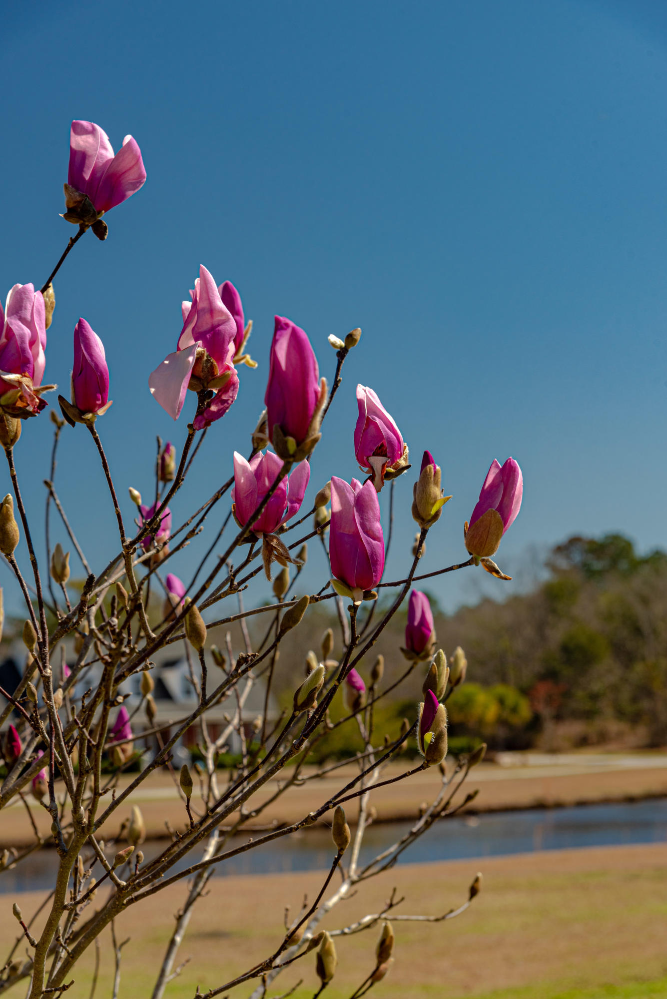 105 Waters View Road Hampton, SC 29924 - Photo 11 of 18 DSC_9482
