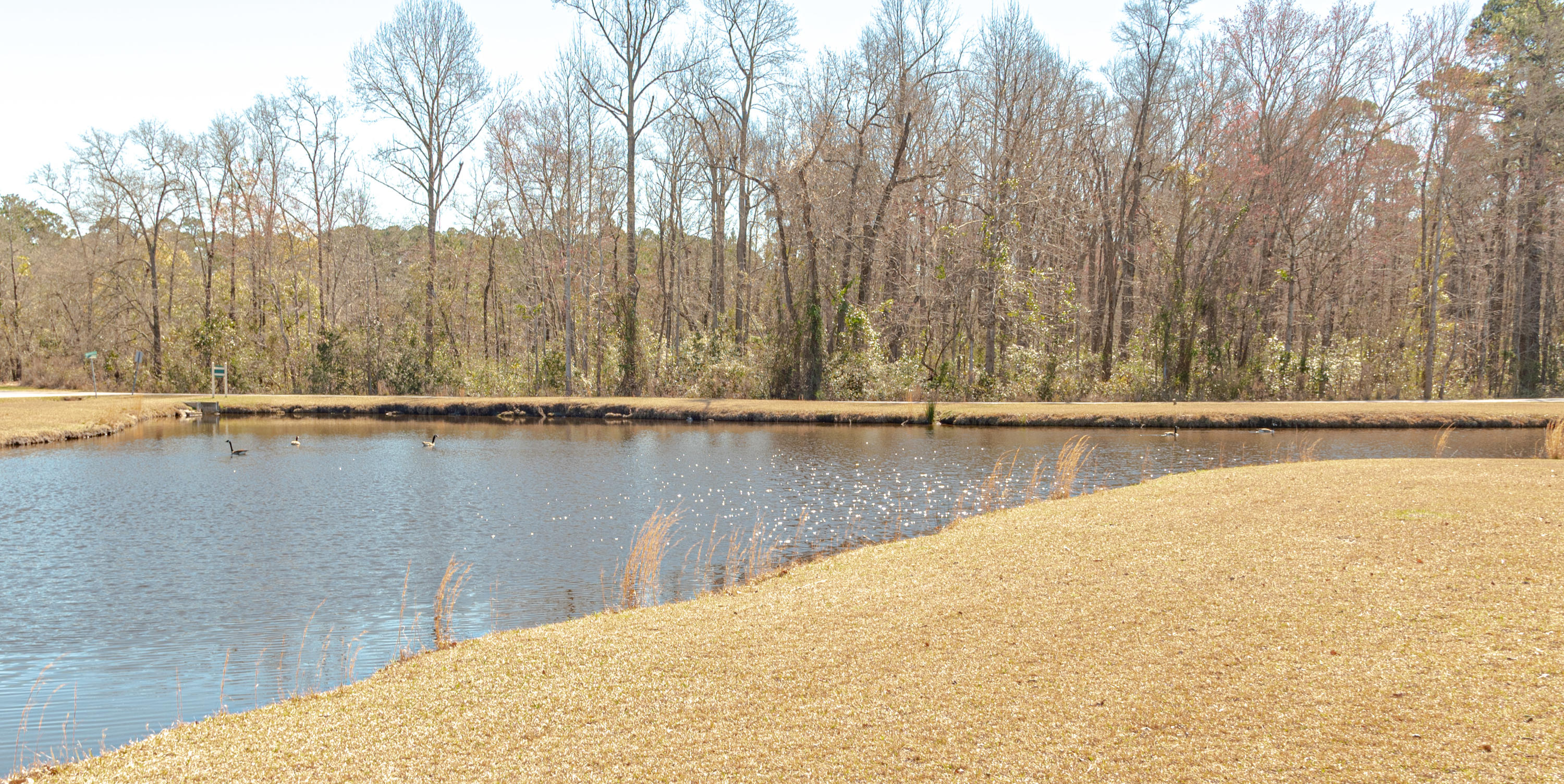 105 Waters View Road Hampton, SC 29924 - Photo 6 of 18 DSC_9429