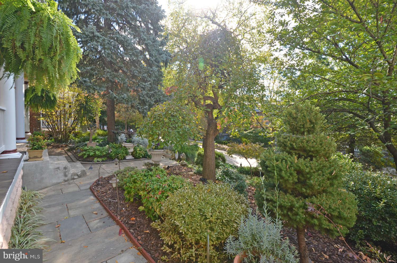 1919 Park Road Northwest Washington, DC 20010 - Photo 3 of 30 Yard