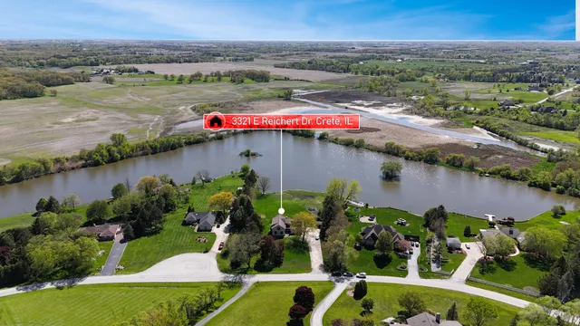 a view of a lake with plants and large trees