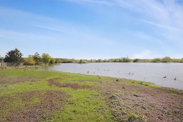 a view of an ocean and beach
