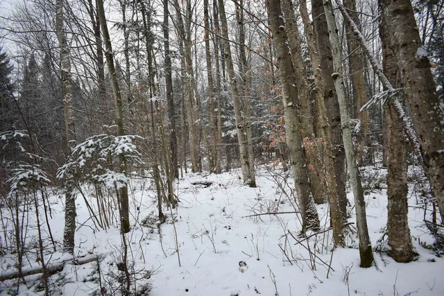 $130,000 | 0 Loop Road, North Troy, VT 05859