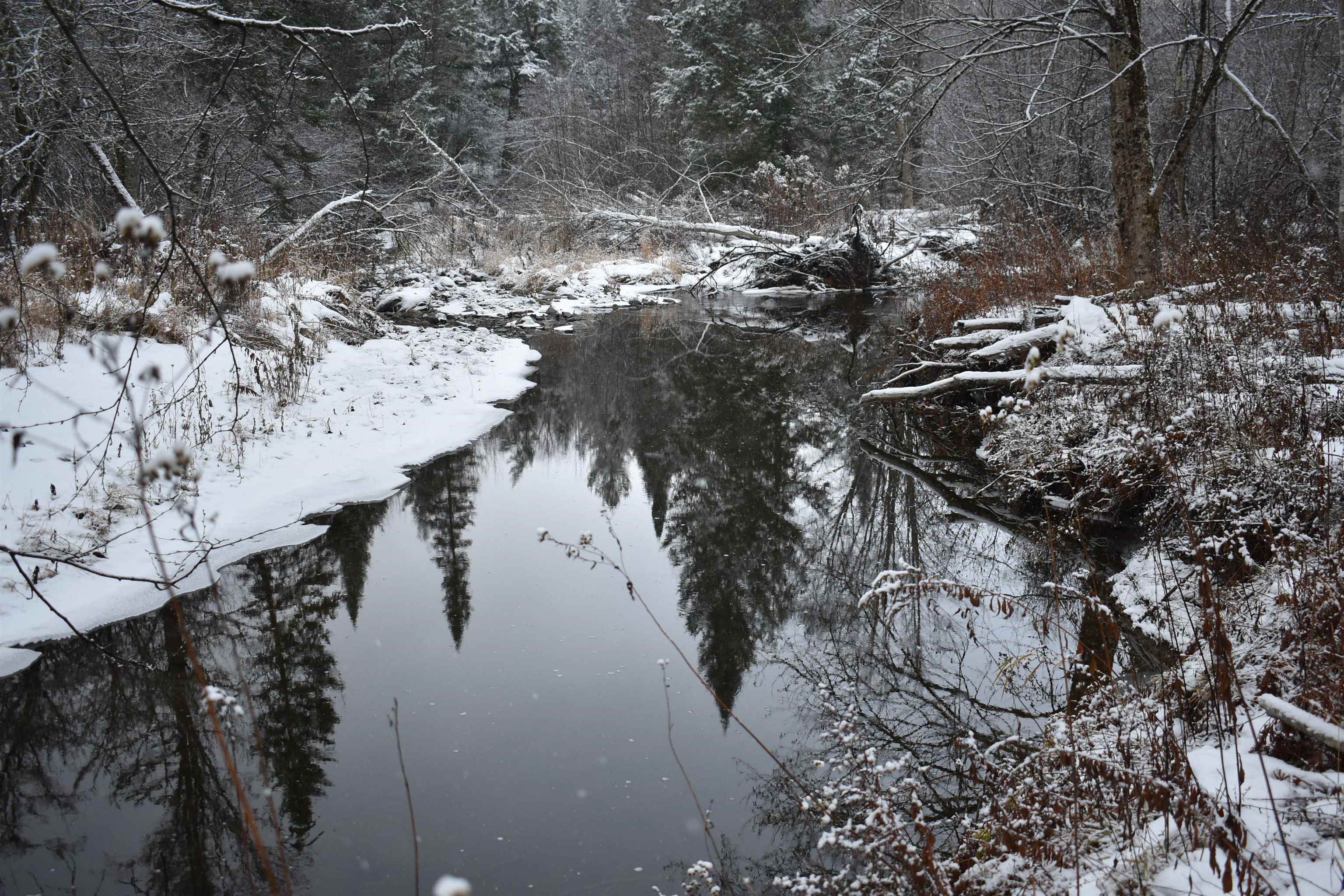0 Loop Road North Troy, VT 05859 - Photo 13 of 15
