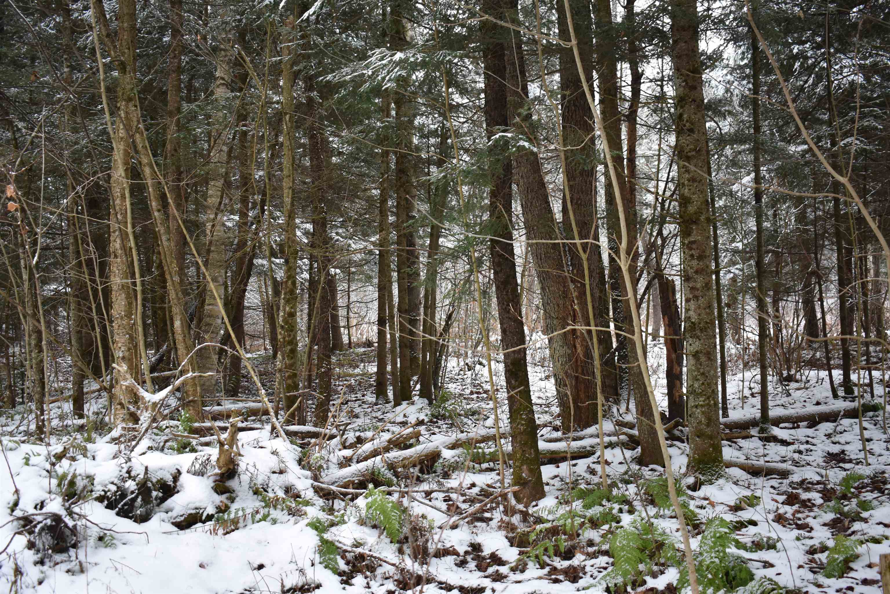 0 Loop Road North Troy, VT 05859 - Photo 14 of 15