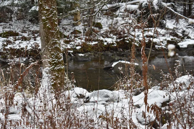 $130,000 | 0 Loop Road, North Troy, VT 05859