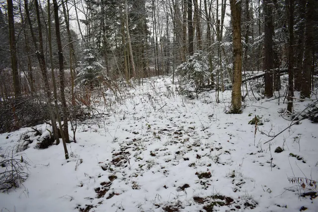 $130,000 | 0 Loop Road, North Troy, VT 05859