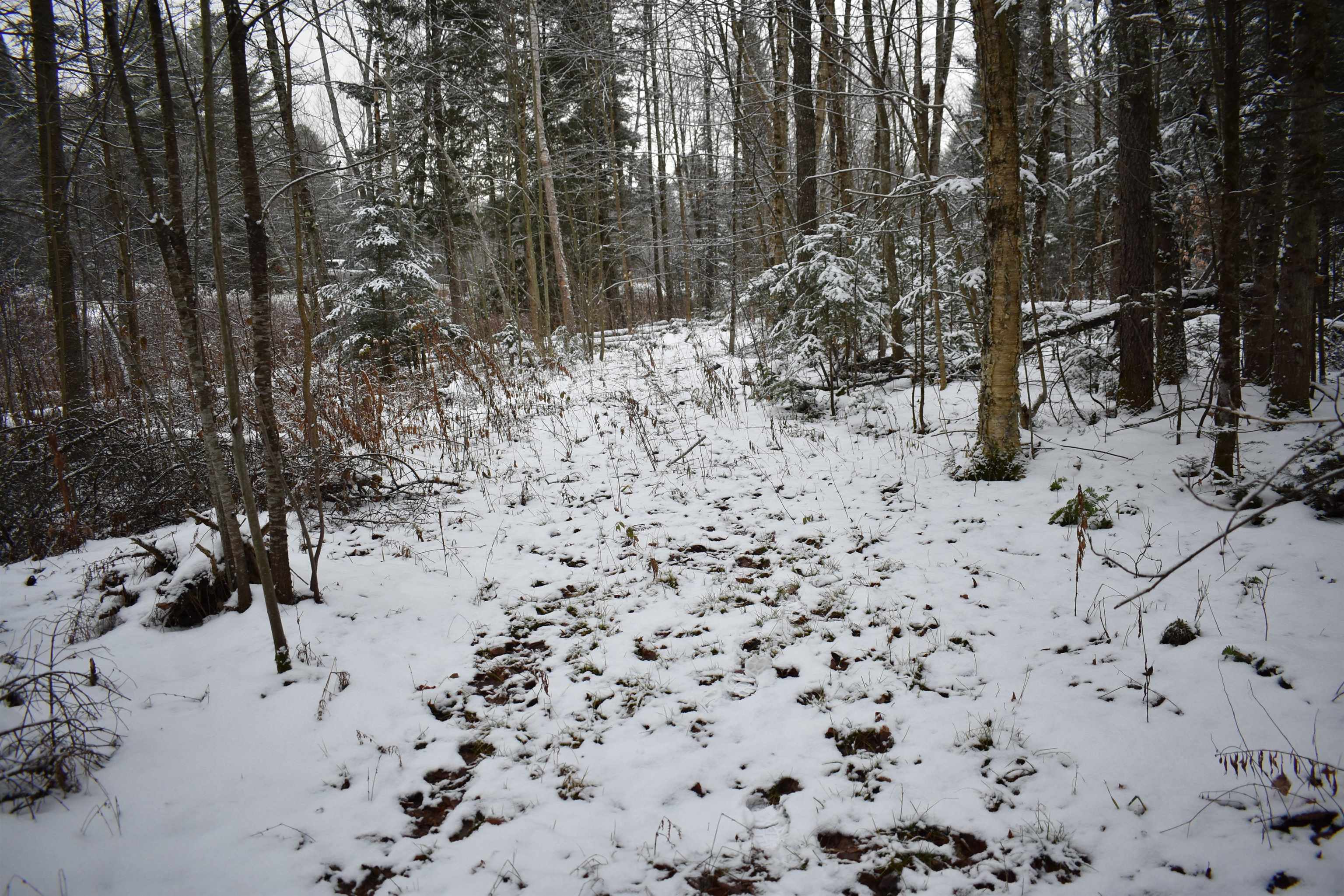 0 Loop Road North Troy, VT 05859 - Photo 5 of 15