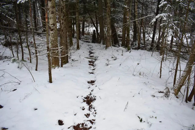 $130,000 | 0 Loop Road, North Troy, VT 05859