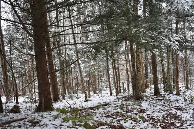$130,000 | 0 Loop Road, North Troy, VT 05859