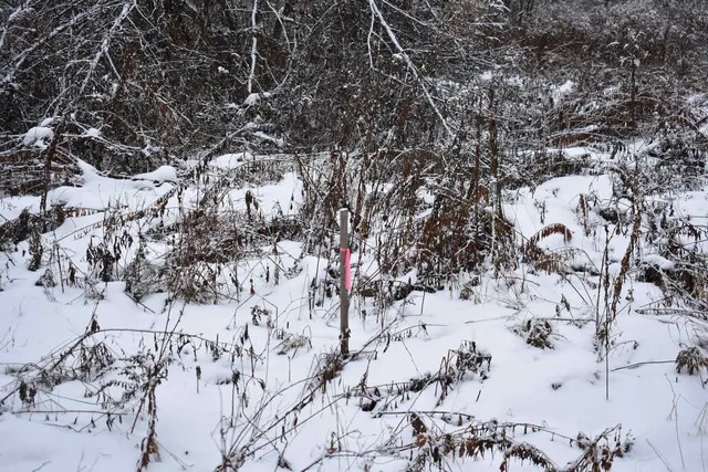 $130,000 | 0 Loop Road, North Troy, VT 05859