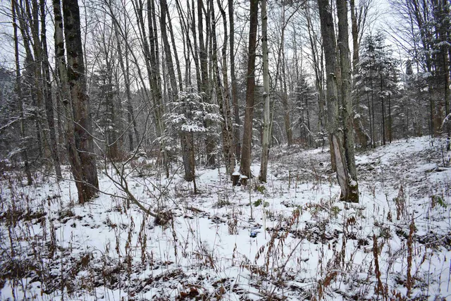 $130,000 | 0 Loop Road, North Troy, VT 05859