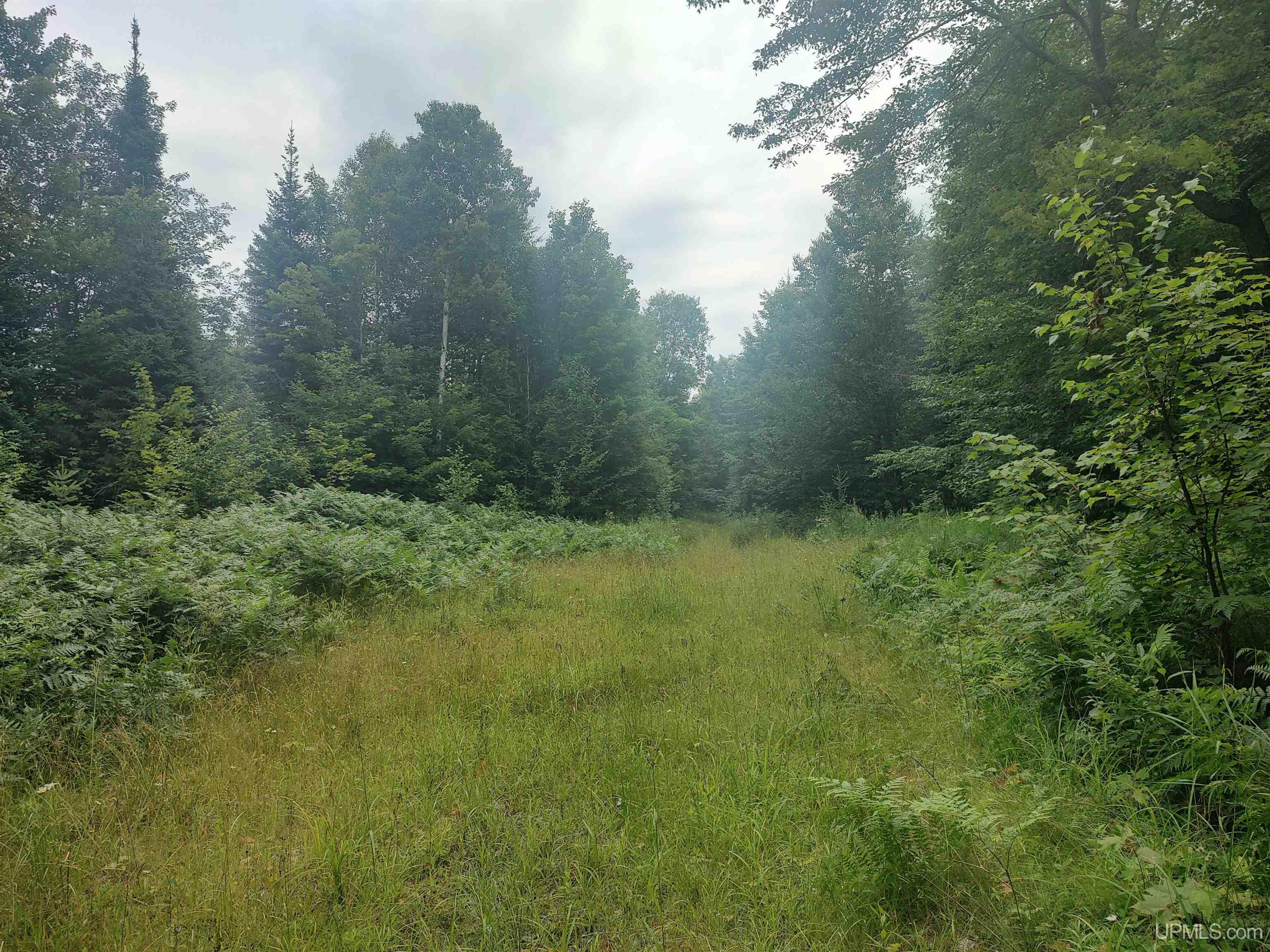 60-acres Sleepy Hollow Road Ishpeming, MI 49849 - Photo 11 of 29