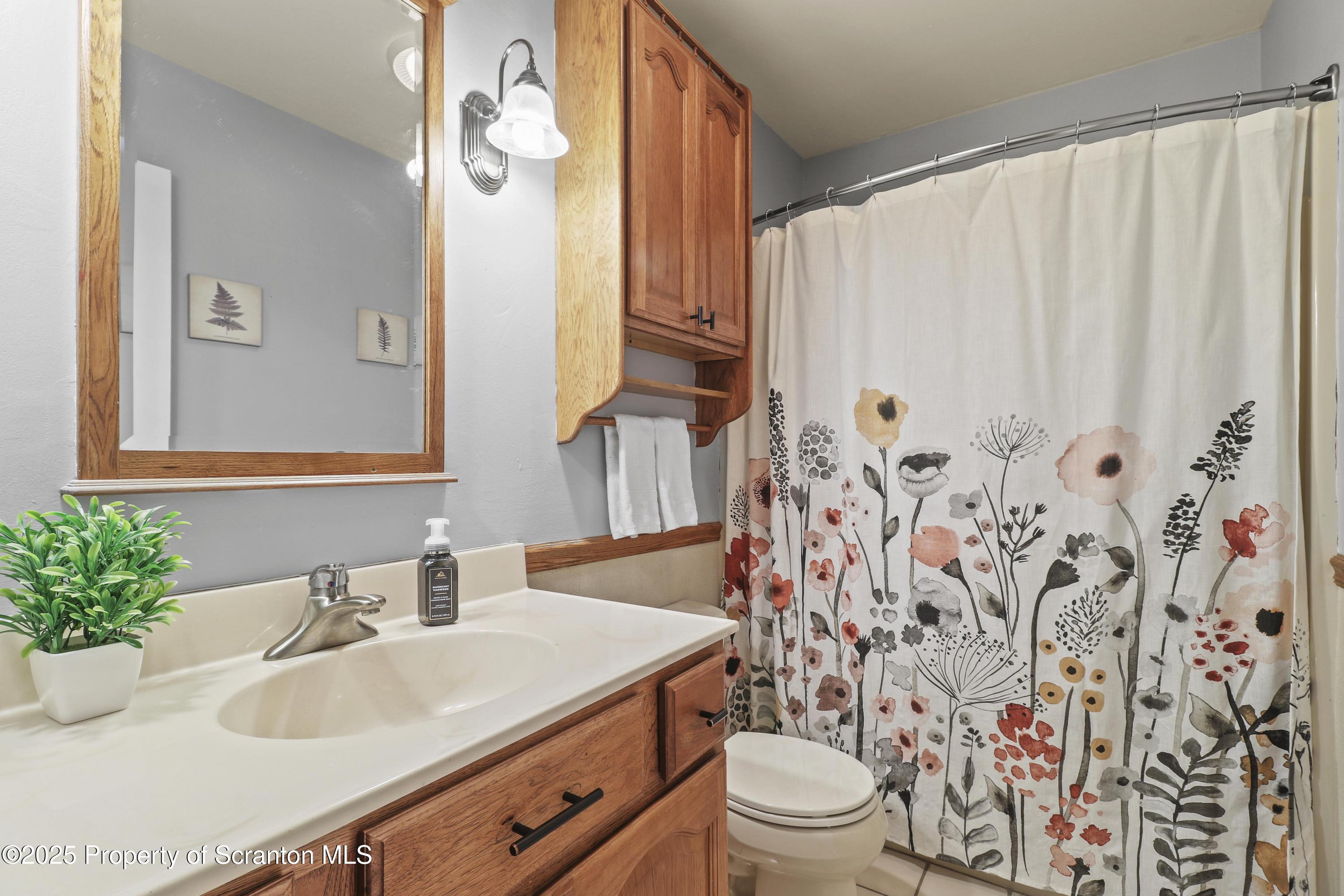 123 Ridgeview Drive Scranton, PA 18504 - Photo 43 of 53 a bathroom with a sink a toilet and a mirror