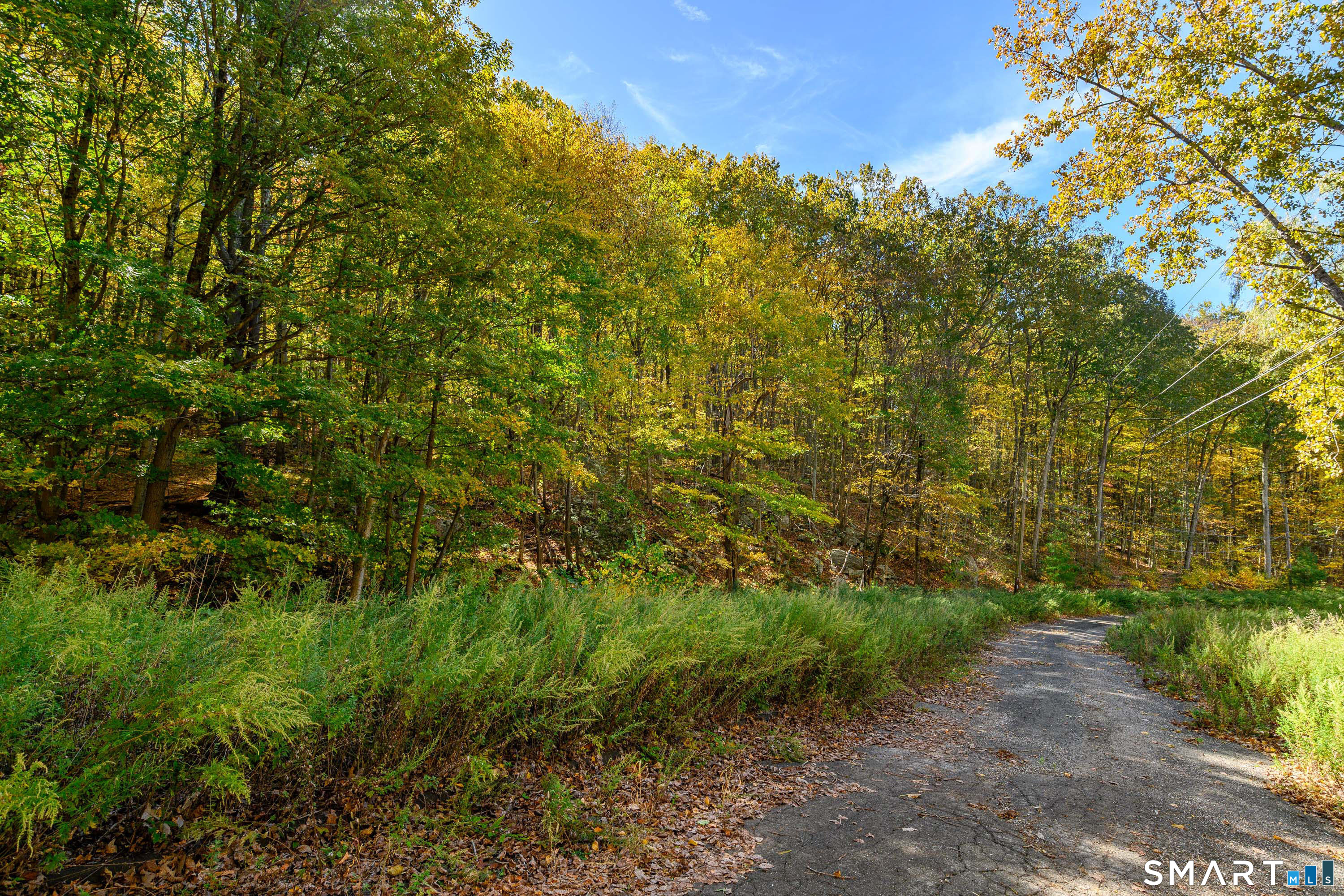 Ives Court Ridgefield, CT 06877 - Photo 12 of 22 a view of a large yard with lots of green space