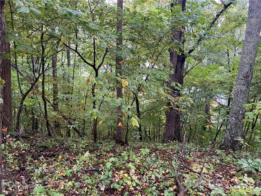 Tbd Tbd Summit Ridge Trail Hot Springs, NC 28743 - Photo 17 of 17 a backyard of a house with lots of green space